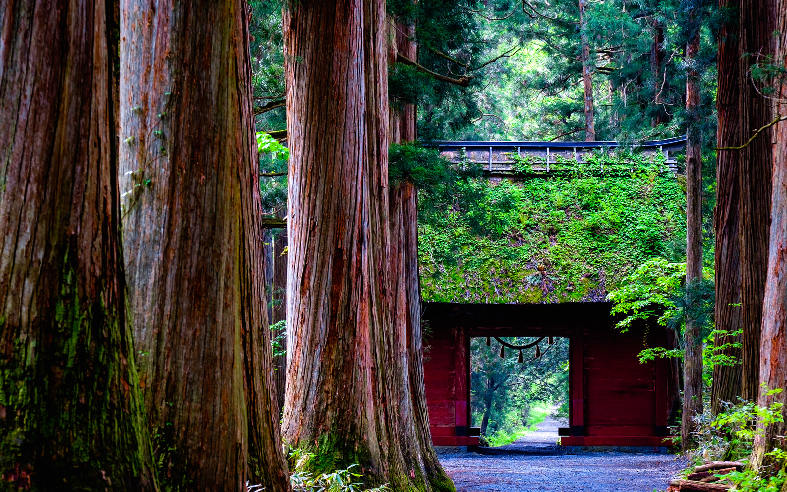 戸隠神社